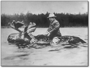 Roosevelt on a moose