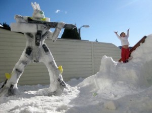 Snow bot serve and protect