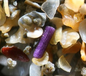 Grains of sand magnified