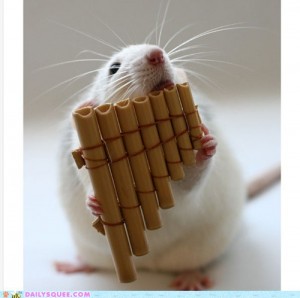 Rat playing the pipes