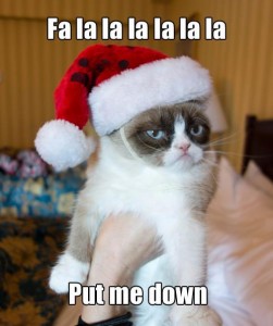 Grumpy Cat in a Santa Hat